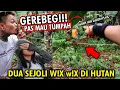 Download Lagu GREBEK YANG LAGI W!x W!x DI KEBUN!!!