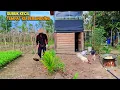 Download Lagu Merawat kebun, masak, tempe goreng, pindah tanaman, hadiah, hidup di hutan brkebun dan ternak CR-111