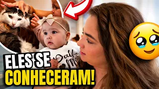 MINHA FILHA CONHECEU MEU GATO PELA PRIMEIRA VEZ *VIAGEM DE ÚLTIMA HORA!