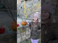 How to make a funny pumpkin with kids Easy calming craft for autistic children