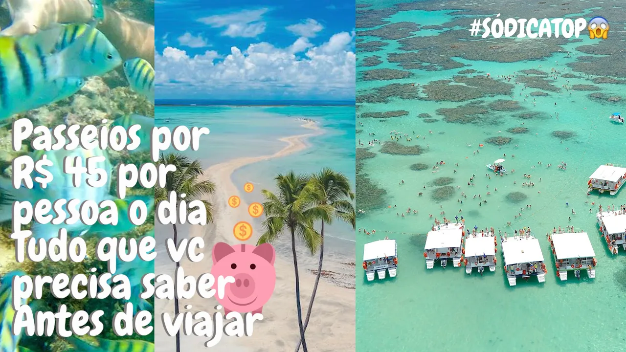 10 melhores e mais baratos passeios em #maragogi - #alagoas