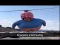 Offensive memes that if ylyl