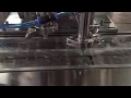 two lanes liquid forming filling sealing machine for special shaped blister packaging 一出二灌裝成型機液體泡罩