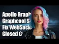 Apollo Graphcool Subscriptions Fix WebSocket Closed Before Connection