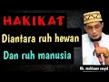 Download Lagu Hakikat diantara ruh hewan dan ruh manusia. | kh. Muhlason rosyid