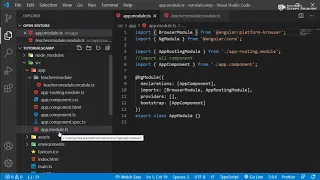 Angular 10 Child Module