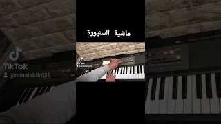 ماشية السنيورة عزف دندنها