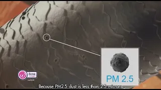 ฝุ่น PM2.5 คืออะไร และทำไมจึงเป็นอันตรายต่อสุขภาพ