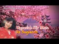 Lagu Iis Sugianto | HAPUSLAH AIR MATA | Lirik.