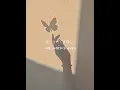 Download Lagu ORANGE RANGE オレンジレンジ - 花 / 오렌지렌지 - 하나