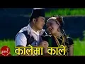 Download Lagu Nepali Lok Dohori | Kalema Kale - Lali Budhathoki \u0026 Thaneshwor Gautam