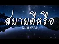 สบายดีหรือ - NUM KALA [เนื้อเพลง]