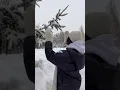 things to do in winter