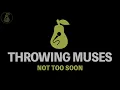 Throwing Muses - Not Too Soon (Karaoke)