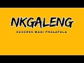 Download Lagu Nkgaleng  - Success Wadi Phalafala ft OPWSP Records