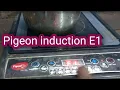 Pigeon induction E1 error how to repair induction E1