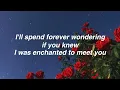 Enchanted - Taylor Swift [Lyrics]