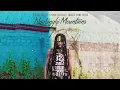 Imeru Tafari x Addis Pablo x Green Lion Crew - Nyabinghi Mountains (Official Audio 2022)
