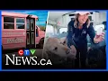 Doggy daycare bus turning heads in Ontario