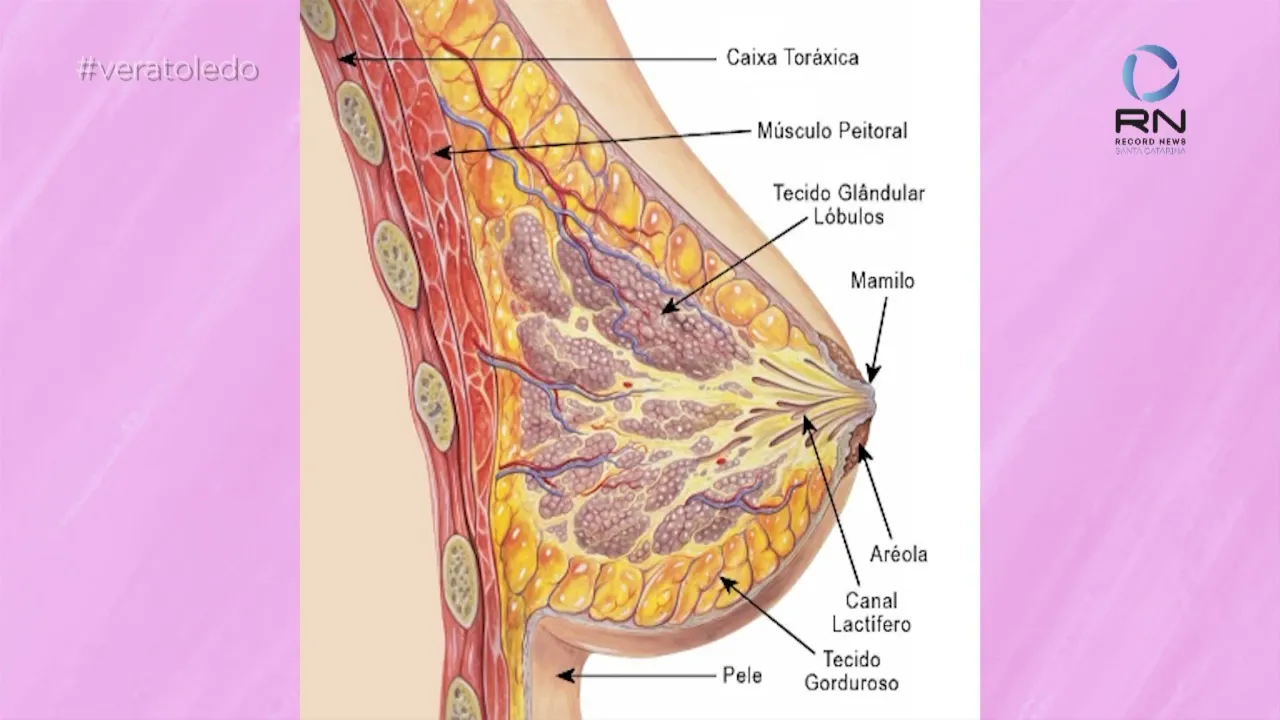 Confira as dicas do Doutor Paulo Roberto de Souza, nutrólogo