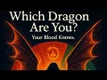 Download Lagu Dragon Daughters. What Colour Flame Do You Carry?Your Bloodline, Your House, Your Mission.
