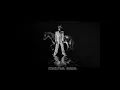 TRESOR & Sofiya Nzau-Wale Wale ( Lyric Visualizer)