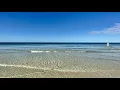 Robb s Tuesday Morning Red Tide Update for North Naples FL 12 29 20