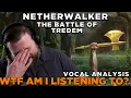 Download Lagu Brilliant or Ridiculous? Breaking Down Netherwalker's Craziest Track