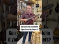 Download Lagu Are large-handed people able to play the mandolin? #mandolin #mandolinmonday #mandolininstrument