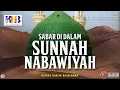 Download Lagu Keutamaan \u0026 Buah Manis Sabar #5: Sabar Di Dalam Sunnah Nabawiyyah Shalallahu Alaihi Wa Sallam
