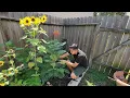 Download Lagu Les presento mi nuevo proyecto en el jardín