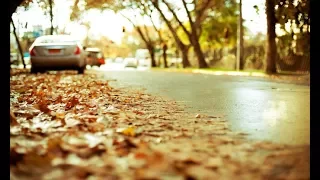 prambors band kemarau with lyrics 