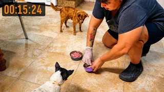How Long Does It Take to Start the Day With 49 Rescue Animals?