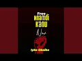 Lagu Free Nnamdi Kanu Now