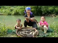 Download Lagu Harvesting ginger garden to sell at market - trapping giant fish to cook for little daughter