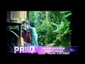 Selekta Prima - Angin Syurga