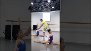 Students doing dance flexibility training