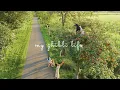 Download Lagu #157 A day of living the Ghibli life: Harvesting apple, drying tomatoes, apple upside down cake...