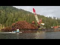 Download Lagu Barge Offload #forestry #logging #boomman #canadianboyslogging  #barge #offload #painful #slow #fyp