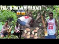 Download Lagu CARI REBUNG BULUH KUNING SEMPAT JUGA GALI TELUR DALAM TANAH // HASILNYA TAK SIA2