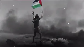  هاني شاكر          فلسطين  القدس            دندنها