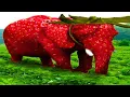 Download Lagu Strawberry Elephant meme