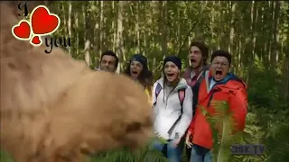 مشهد مضحك من حبك درباني اللقاء مع الدب 