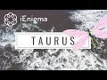Lagu TAURUS 2026: WTF‼️ They’ll Be OBSESSING Over You 24×7 for 365 Days! ❤️‍🔥