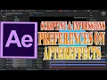 Scripting Expressions Preferences on AfterEffects AfterEffects Ultimate Guide 098