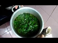 Lagu TIPS MEMBUAT DAUN SINGKONG CEPAT EMPUK DAN TETAP BERWARNA HIJAU CANTIK