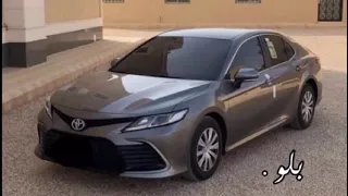 خليجي ارشيف     صراحه وضعك يحير  دندنها