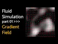 Fluid Simulation Study in - Part 1 Gradient Field