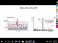 Loop Avoidance Nanda CWNA RSSI and VSWR