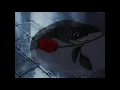 Bird with no legs